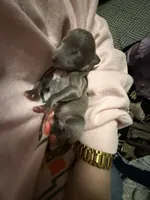 processed/110680ad-ad87-4941-9517-bad46c6332dc/listing/1c112781-1fec-4461-8cb8-c7a4c2abf59a/8dd06f10-047e-47b2-90f6-fe5aeb1be350