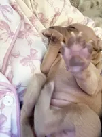 processed/110680ad-ad87-4941-9517-bad46c6332dc/listing/82fa75e0-38c1-4cce-b859-8d1bd0c7db17/0378922f-ebf5-4149-8770-8c82d9f61c75