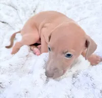 processed/110680ad-ad87-4941-9517-bad46c6332dc/listing/82fa75e0-38c1-4cce-b859-8d1bd0c7db17/227597d5-d0bc-45a9-a823-21333f2d3be8