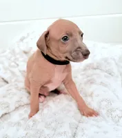 processed/110680ad-ad87-4941-9517-bad46c6332dc/listing/82fa75e0-38c1-4cce-b859-8d1bd0c7db17/489843d1-20eb-44c9-a0bc-2cfd38119603