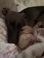 processed/110680ad-ad87-4941-9517-bad46c6332dc/listing/82fa75e0-38c1-4cce-b859-8d1bd0c7db17/de94dff1-341a-4576-8022-2d06dcf7d841