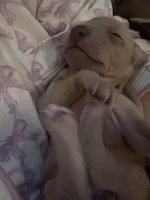 processed/110680ad-ad87-4941-9517-bad46c6332dc/listing/82fa75e0-38c1-4cce-b859-8d1bd0c7db17/e5f3cba8-27bf-4a43-9a6f-2e4333b12ed9