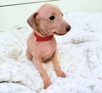 processed/110680ad-ad87-4941-9517-bad46c6332dc/listing/c43fd665-0006-4fce-89c1-c6f9fb91839a/772a0479-ce57-4825-9acb-2cb455bf0370