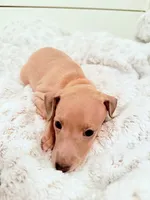 processed/110680ad-ad87-4941-9517-bad46c6332dc/listing/c43fd665-0006-4fce-89c1-c6f9fb91839a/923de4a1-e836-422f-900a-1ab17ad64b23