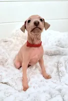 processed/110680ad-ad87-4941-9517-bad46c6332dc/listing/c43fd665-0006-4fce-89c1-c6f9fb91839a/ac49b1dc-7ec5-41de-8dd0-a6f164078c9b