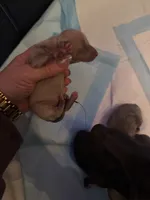 processed/110680ad-ad87-4941-9517-bad46c6332dc/listing/c43fd665-0006-4fce-89c1-c6f9fb91839a/b762e549-6801-4c7e-b116-865d91d667d0