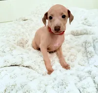 processed/110680ad-ad87-4941-9517-bad46c6332dc/listing/c43fd665-0006-4fce-89c1-c6f9fb91839a/c4f93f12-c062-4005-8812-eaea9c9faee8