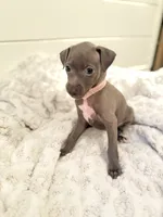 processed/110680ad-ad87-4941-9517-bad46c6332dc/listing/cf27a952-5d89-4e93-b72b-e40fb574c3be/9bb18d0c-4db5-48c4-a0b4-3a184d7c8855