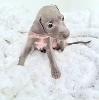 processed/110680ad-ad87-4941-9517-bad46c6332dc/listing/cf27a952-5d89-4e93-b72b-e40fb574c3be/e8da5407-7b07-42b4-a602-fb621726f74b