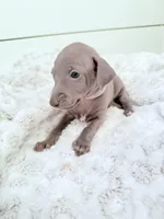 processed/110680ad-ad87-4941-9517-bad46c6332dc/listing/e864acb2-c8b8-4af4-a2ed-6bcfd4df5be5/1a0cb178-f021-4abb-a7d9-b2a3d3a525f0