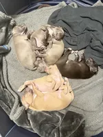 processed/110680ad-ad87-4941-9517-bad46c6332dc/listing/e864acb2-c8b8-4af4-a2ed-6bcfd4df5be5/5c00461c-1d78-498e-92e3-b15e4b39e688