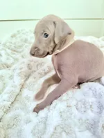 processed/110680ad-ad87-4941-9517-bad46c6332dc/listing/e864acb2-c8b8-4af4-a2ed-6bcfd4df5be5/a7bc06df-7e87-4a82-b2df-59ca6330cb2f