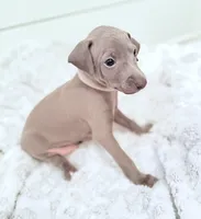 processed/110680ad-ad87-4941-9517-bad46c6332dc/listing/e864acb2-c8b8-4af4-a2ed-6bcfd4df5be5/c0d7c0eb-af95-4174-bd8b-97b718dfd7d5