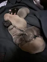 processed/110680ad-ad87-4941-9517-bad46c6332dc/listing/e864acb2-c8b8-4af4-a2ed-6bcfd4df5be5/cb9e842a-30e8-47dc-b3ff-d28379b89174