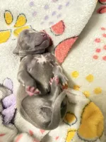 processed/110680ad-ad87-4941-9517-bad46c6332dc/listing/e864acb2-c8b8-4af4-a2ed-6bcfd4df5be5/d59e84de-3293-4bc3-b002-9df0c4990972