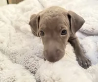 processed/110680ad-ad87-4941-9517-bad46c6332dc/listing/e864acb2-c8b8-4af4-a2ed-6bcfd4df5be5/dfbf0151-0af3-4532-aa04-2973f8b0bd2d