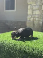 processed/111d46be-a8b5-48d7-ad7a-b7d9493e4b09/listing/20f839fd-d3a7-43de-b74d-925158ebf0d4/0596ec94-dacd-4faf-bb4b-4c8b7f8ad51f