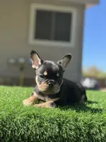 processed/111d46be-a8b5-48d7-ad7a-b7d9493e4b09/listing/20f839fd-d3a7-43de-b74d-925158ebf0d4/10f5214e-7f39-4c11-9061-c535bfd71780