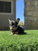 processed/111d46be-a8b5-48d7-ad7a-b7d9493e4b09/listing/20f839fd-d3a7-43de-b74d-925158ebf0d4/5aae7b09-3956-4722-805f-2c482e5edb34