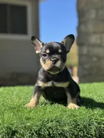 processed/111d46be-a8b5-48d7-ad7a-b7d9493e4b09/listing/20f839fd-d3a7-43de-b74d-925158ebf0d4/b5fef7d1-8935-4bc8-aa2d-e00680002014