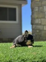 processed/111d46be-a8b5-48d7-ad7a-b7d9493e4b09/listing/20f839fd-d3a7-43de-b74d-925158ebf0d4/edc50d8c-024a-4332-8239-ad473f18b0c8