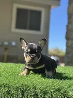 processed/111d46be-a8b5-48d7-ad7a-b7d9493e4b09/listing/20f839fd-d3a7-43de-b74d-925158ebf0d4/ff743ac5-b1b0-4539-9f57-45882a924b6a