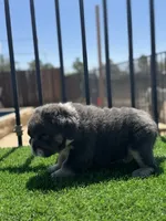 processed/111d46be-a8b5-48d7-ad7a-b7d9493e4b09/listing/211b973a-f026-42ea-80bc-af1d30afbee7/04712a18-3448-4370-a6dc-4aed09090f80