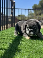 processed/111d46be-a8b5-48d7-ad7a-b7d9493e4b09/listing/211b973a-f026-42ea-80bc-af1d30afbee7/1bc7ada9-2636-43d3-94ab-93a0c537efb0