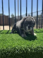 processed/111d46be-a8b5-48d7-ad7a-b7d9493e4b09/listing/211b973a-f026-42ea-80bc-af1d30afbee7/91a8ab36-2eb0-467d-82fd-470c87a2fc8c