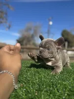 processed/111d46be-a8b5-48d7-ad7a-b7d9493e4b09/listing/4adf6b6b-faba-4713-9598-0a0d2a858664/08b4c446-29d1-4c7c-9159-7b5ee542a1c0