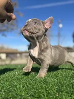 processed/111d46be-a8b5-48d7-ad7a-b7d9493e4b09/listing/4adf6b6b-faba-4713-9598-0a0d2a858664/3346a85a-876f-4e1e-98f4-b6467b97d29c