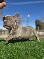 processed/111d46be-a8b5-48d7-ad7a-b7d9493e4b09/listing/4adf6b6b-faba-4713-9598-0a0d2a858664/6ccc916d-87b8-41bc-a396-9383f6891ab7