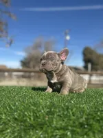 processed/111d46be-a8b5-48d7-ad7a-b7d9493e4b09/listing/4adf6b6b-faba-4713-9598-0a0d2a858664/7df3e596-c859-4309-881d-313736d0d91f