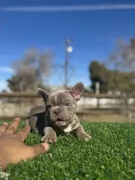 processed/111d46be-a8b5-48d7-ad7a-b7d9493e4b09/listing/4adf6b6b-faba-4713-9598-0a0d2a858664/a436c734-9676-4638-b579-887ab2dce1d0