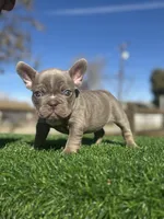 processed/111d46be-a8b5-48d7-ad7a-b7d9493e4b09/listing/4adf6b6b-faba-4713-9598-0a0d2a858664/b727c398-4187-40d4-9344-25b01f8ff019