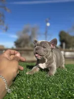 processed/111d46be-a8b5-48d7-ad7a-b7d9493e4b09/listing/4adf6b6b-faba-4713-9598-0a0d2a858664/b972f0db-cc56-4e70-882c-ad1d5c448b2d