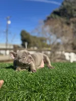 processed/111d46be-a8b5-48d7-ad7a-b7d9493e4b09/listing/4adf6b6b-faba-4713-9598-0a0d2a858664/ee683fde-fcf3-43b9-b7d0-5ec2d2bb0ec3