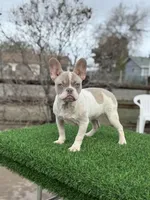 processed/111d46be-a8b5-48d7-ad7a-b7d9493e4b09/listing/a21185d3-a64d-4cf1-9fde-e6d58b76d065/60a67f0f-0407-4d88-bbf0-a700081fc533