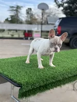 processed/111d46be-a8b5-48d7-ad7a-b7d9493e4b09/listing/a21185d3-a64d-4cf1-9fde-e6d58b76d065/8c2fc1f2-ea31-46ba-be54-1865780f6894