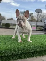 processed/111d46be-a8b5-48d7-ad7a-b7d9493e4b09/listing/a21185d3-a64d-4cf1-9fde-e6d58b76d065/cc34063a-f87a-452b-9a5c-eb0ff06225e1