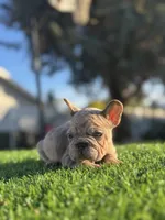 processed/111d46be-a8b5-48d7-ad7a-b7d9493e4b09/listing/f7fd79aa-7952-4738-b216-a7a0b09a3c95/222a91f1-b72b-4d1a-8985-69431d1c50e2