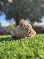 processed/111d46be-a8b5-48d7-ad7a-b7d9493e4b09/listing/f7fd79aa-7952-4738-b216-a7a0b09a3c95/42494e0e-ec24-4aad-a996-afcf886891c5