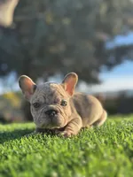 processed/111d46be-a8b5-48d7-ad7a-b7d9493e4b09/listing/f7fd79aa-7952-4738-b216-a7a0b09a3c95/7f28a6d1-76f7-490e-959a-609c30091aa8