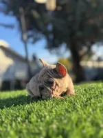 processed/111d46be-a8b5-48d7-ad7a-b7d9493e4b09/listing/f7fd79aa-7952-4738-b216-a7a0b09a3c95/f5a7d5f9-8099-43e3-ae05-58df8b0b8444