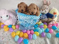 processed/1122fedc-81ee-426e-8f3e-0dc0690d4f06/facility/08f02722-87ae-4ac9-9330-66b796900cb2