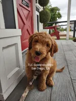 processed/1122fedc-81ee-426e-8f3e-0dc0690d4f06/facility/28853a3c-5e48-4c88-a6be-d354c5a3f454