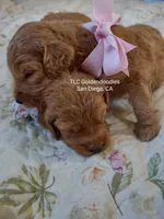 processed/1122fedc-81ee-426e-8f3e-0dc0690d4f06/facility/2cccfc94-c687-491b-9ba1-6d5e72b12ea2