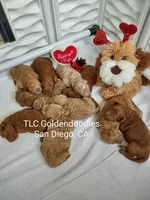 processed/1122fedc-81ee-426e-8f3e-0dc0690d4f06/facility/3083f2c4-ba99-4b95-8414-9d7655fc3e65