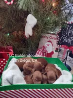 processed/1122fedc-81ee-426e-8f3e-0dc0690d4f06/facility/39ea1513-f3fc-4cbf-aa6f-afa8d5a1e42f