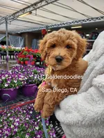 processed/1122fedc-81ee-426e-8f3e-0dc0690d4f06/facility/5ffae635-99b8-43e7-8c32-cd72ae422b23